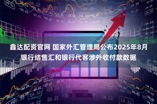 鑫达配资官网 国家外汇管理局公布2025年8月银行结售汇和银行代客涉外收付款数据