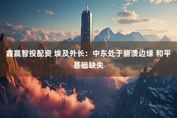 鑫赢智投配资 埃及外长：中东处于崩溃边缘 和平基础缺失